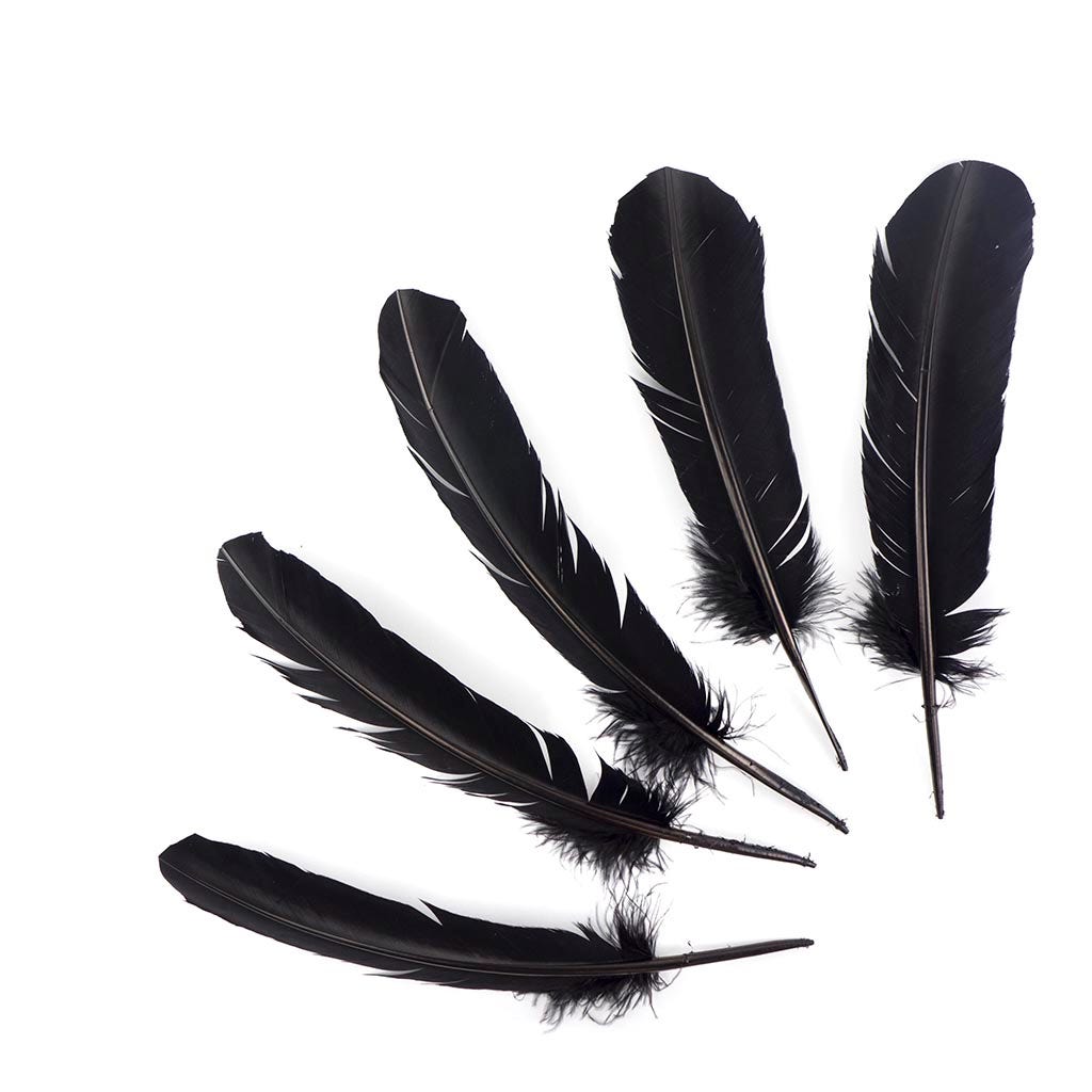 Turkey Quills Selected - Black