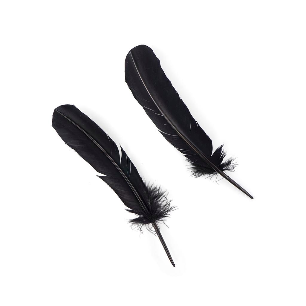 Turkey Quills Selected - Black