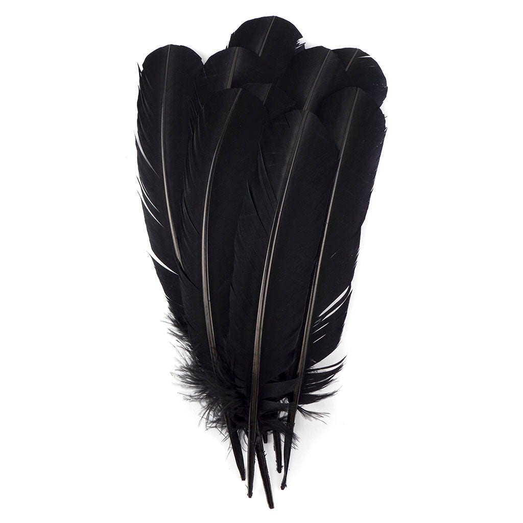 Turkey Quills Selected - Black