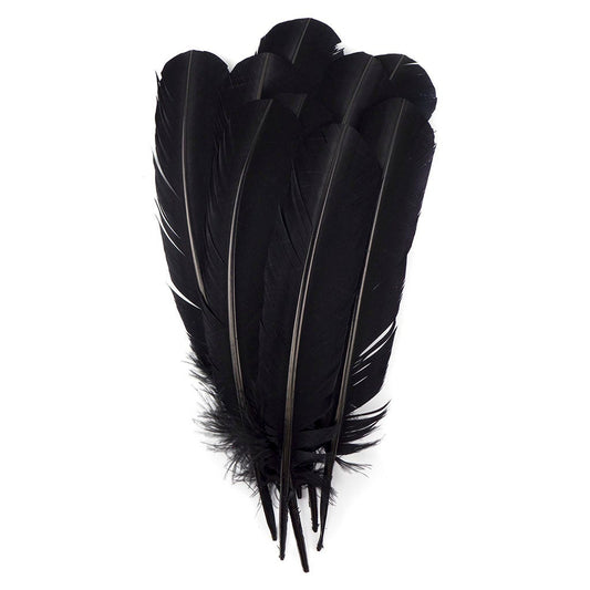 Turkey Quills by Pound - Right Wing - Black