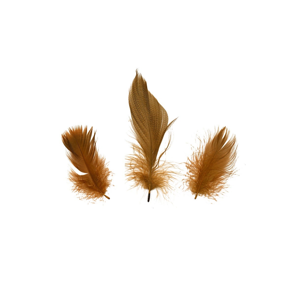 Duck Plumage Mallard Feathers - Brown