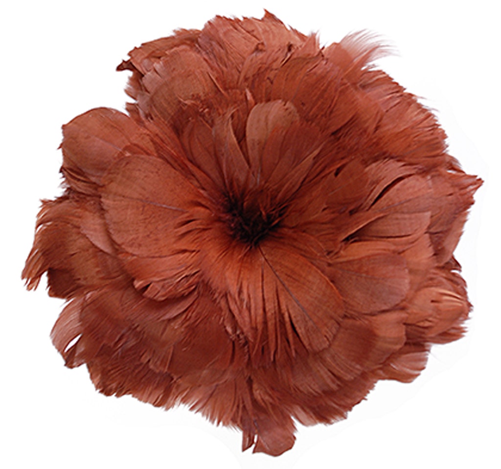 Goose Coquille Feathers Dyed - Copper