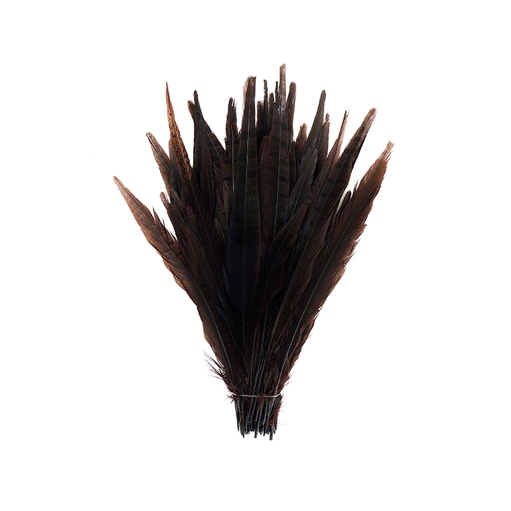 Assorted Pheasant Tails Dyed - Brown