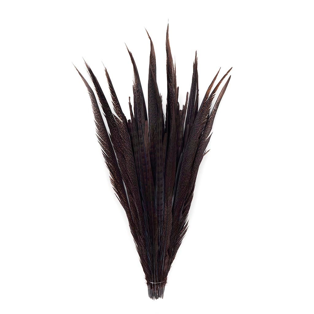 Assorted Pheasant Tails Dyed - Brown
