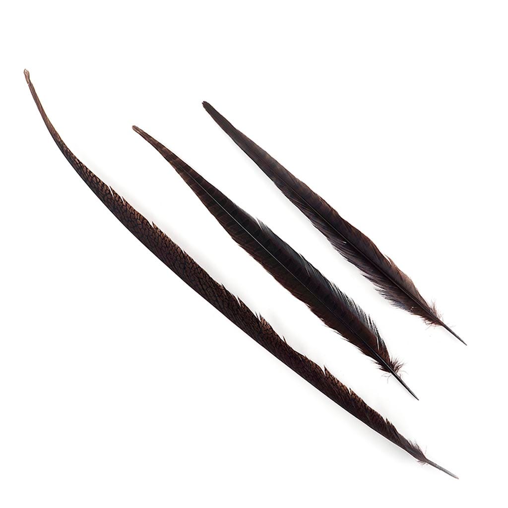 Pheasant Tails Assorted Bleached - Brown