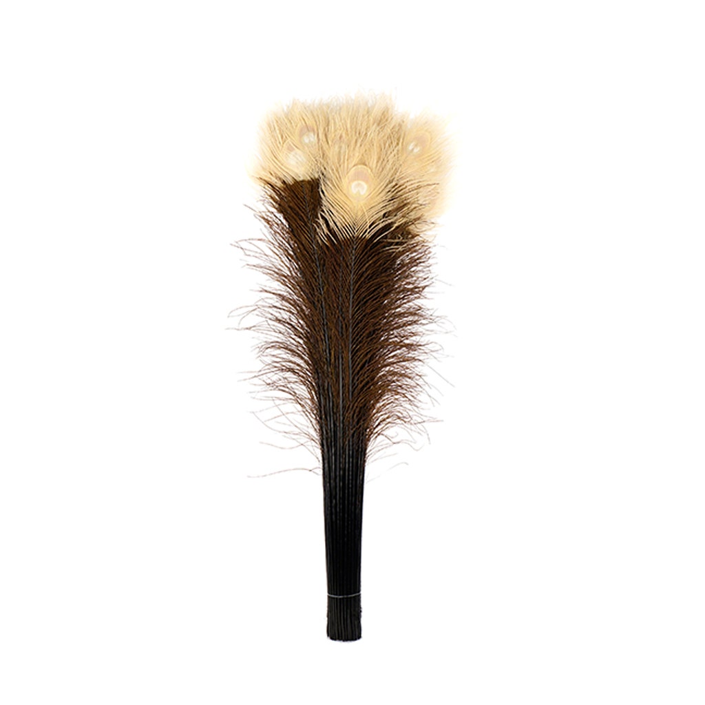 Peacock Tail Eyes Tipped - Brown/Eggshell - 25 -40"