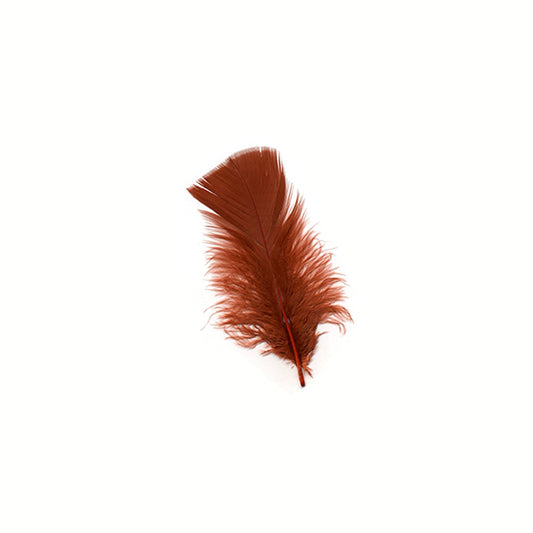 Loose Turkey Plumage Feathers 3-5" - Rust