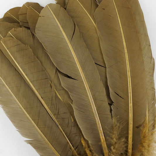 Turkey Quills Dyed Feathers - Camel