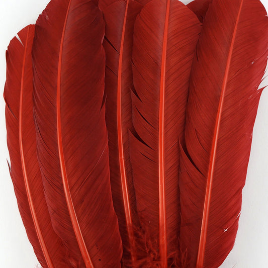 Zucker Peacock Swords Stem Dyed Feathers - 15 -25 inch - 100pcs - Red
