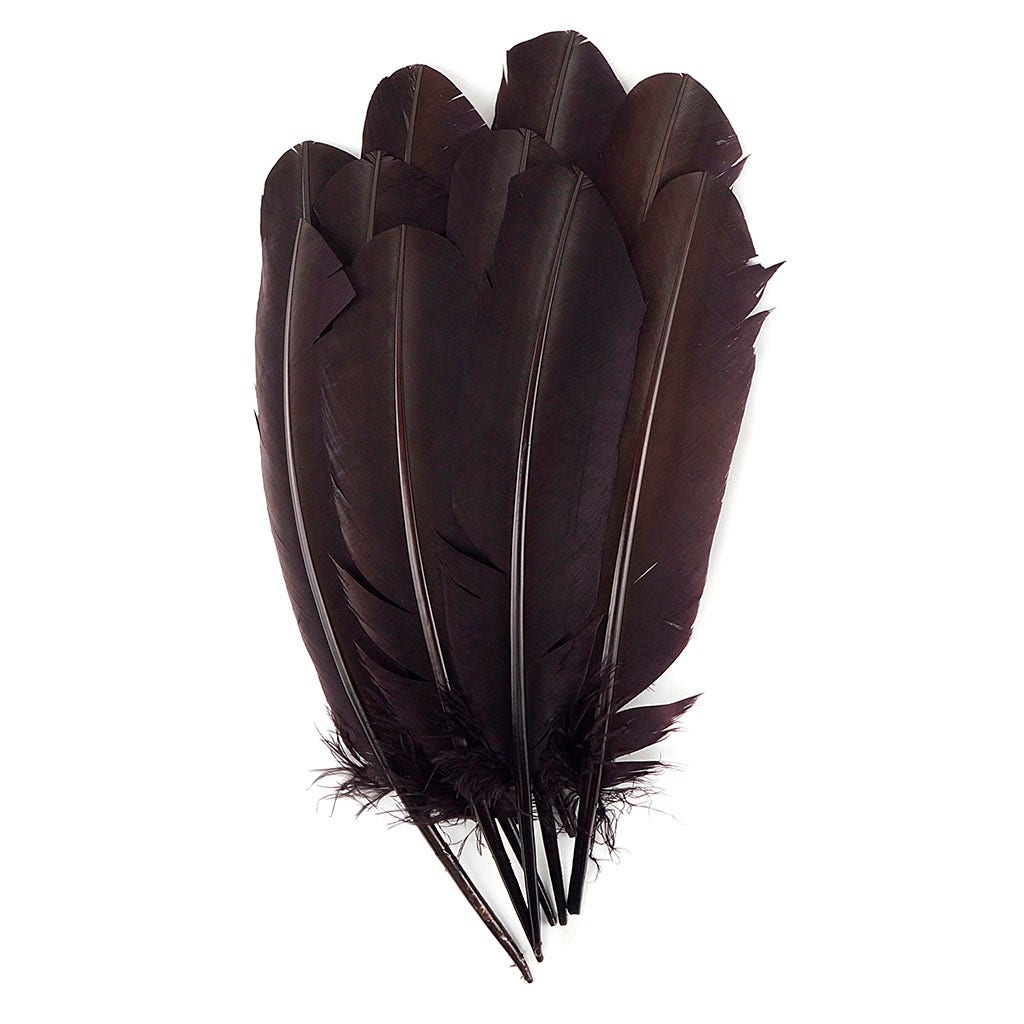 Turkey Quills Selected - Brown