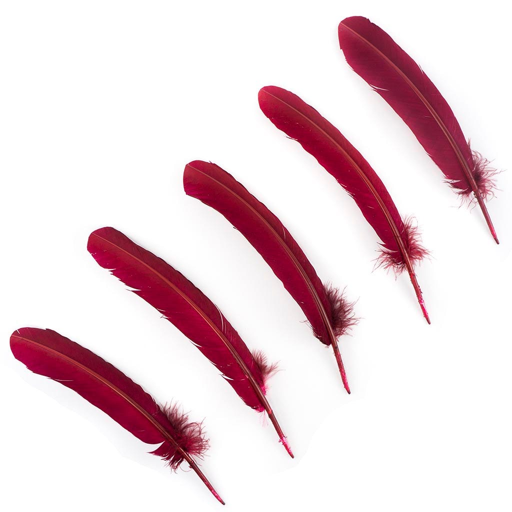 Turkey Quills by Pound - Left Wing - Burgundy