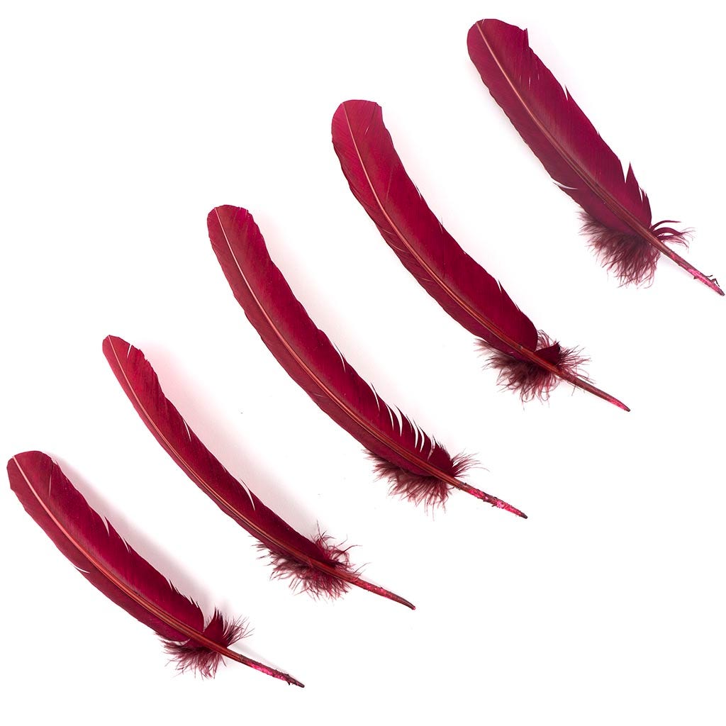 Turkey Quills by Pound - Right Wing - Burgundy