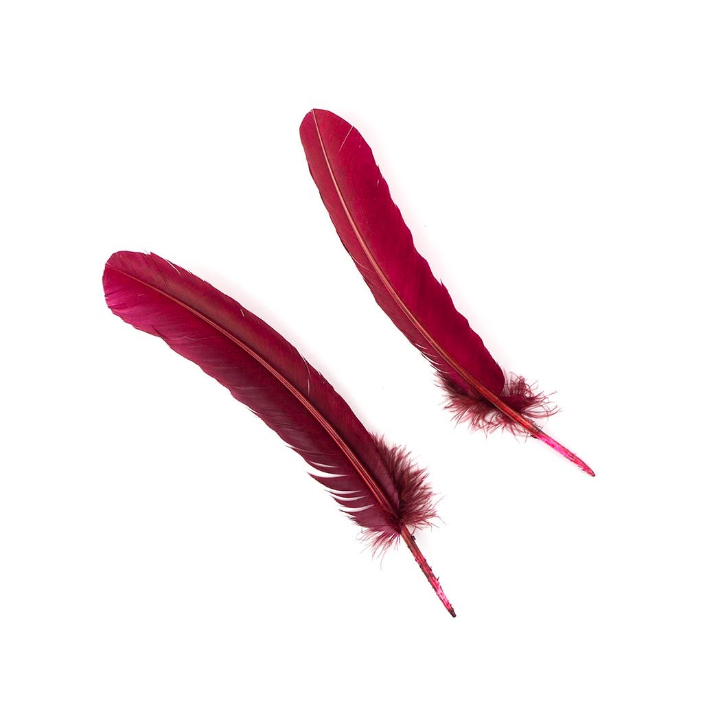 Turkey Quills by Pound - Right Wing - Burgundy