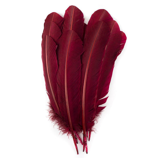 Turkey Quills by Pound - Right Wing - Burgundy