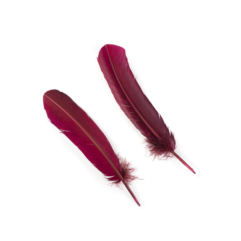 Dyed Turkey Quill Feathers - Burgundy