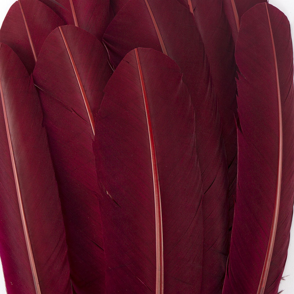 Dyed Turkey Quill Feathers - Burgundy