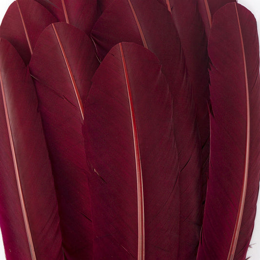 Dyed Turkey Quill Feathers - Burgundy