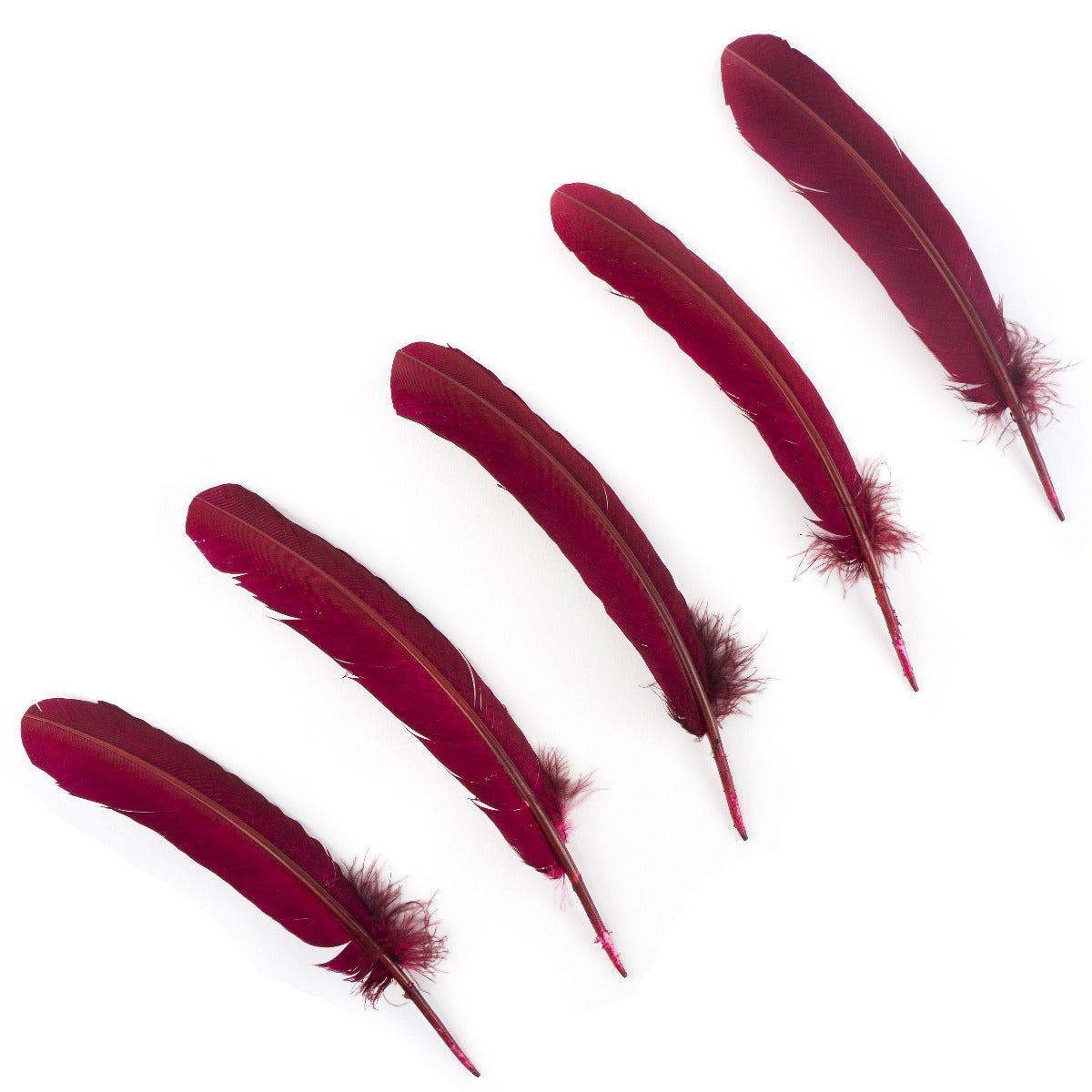 Turkey Feather Quills Selected - Burgundy