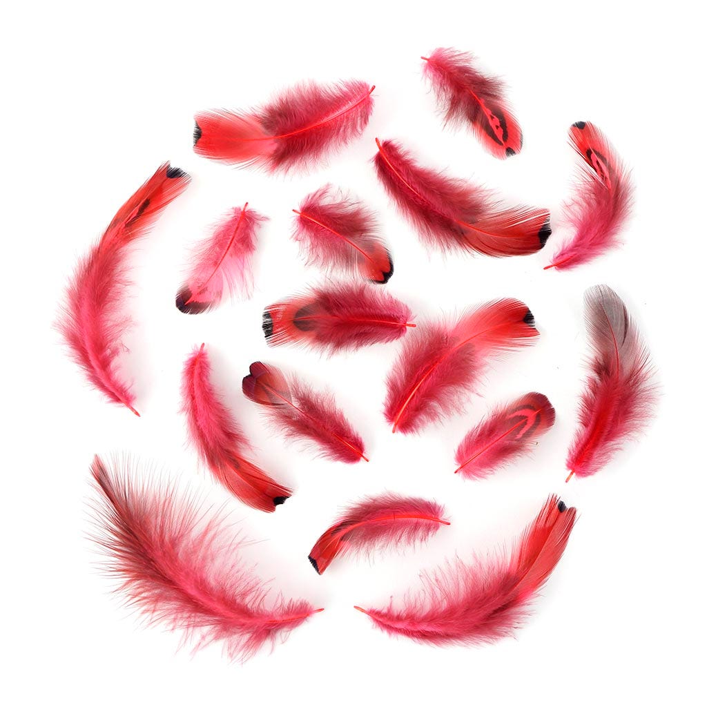 Heart Pheasant Plumage Dyed - Coral
