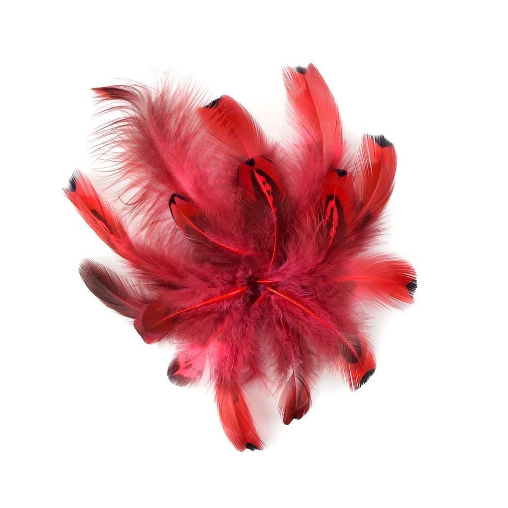 Heart Pheasant Plumage Dyed - Coral