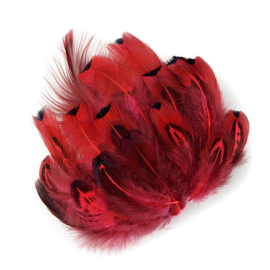 Red Feathers, Almond Ringneck Feather