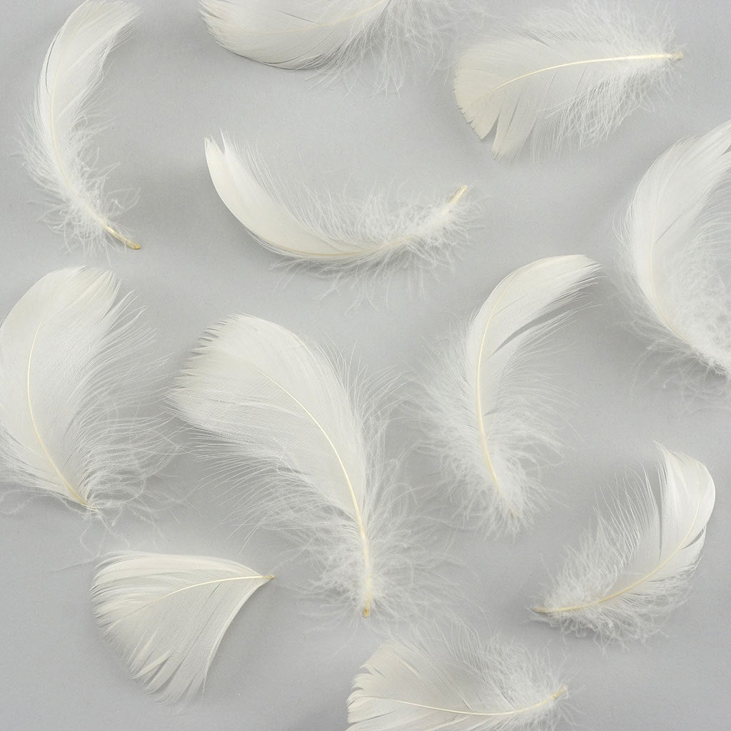 Bulk Goose Coquille Feathers Dyed - Eggshell - 1/4 lb