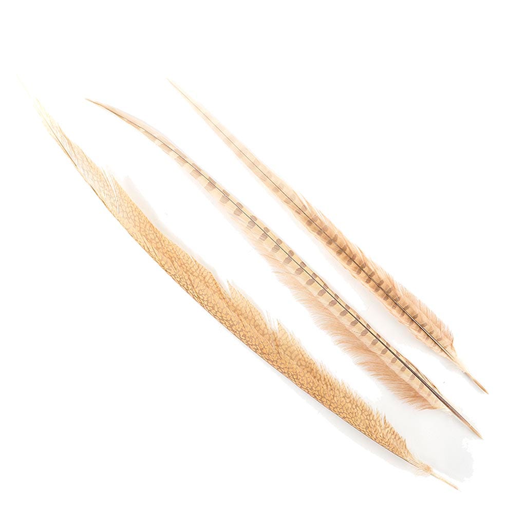 Assorted Pheasant Tails Dyed - Eggshell