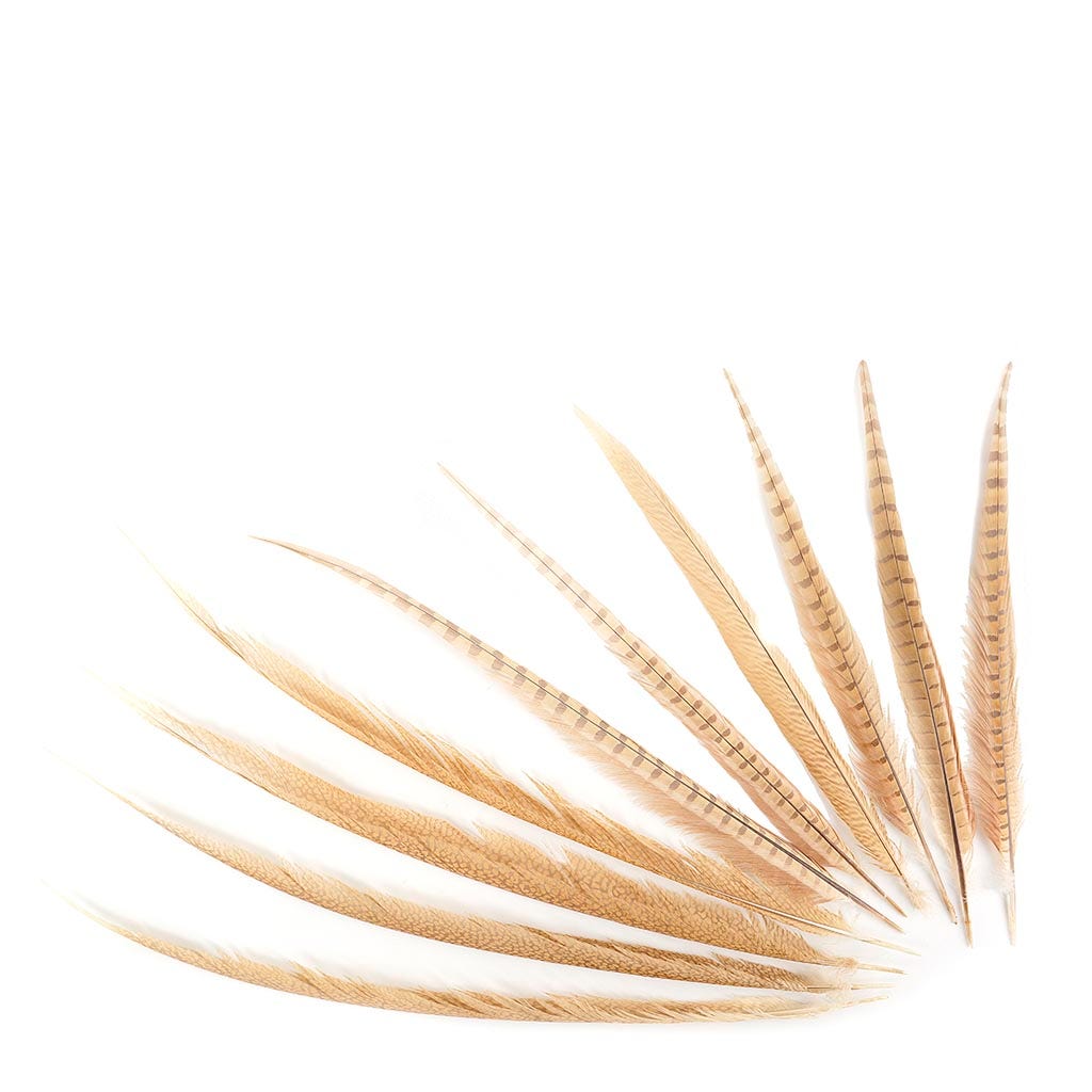 Pheasant Tails Assorted Bleached - Eggshell