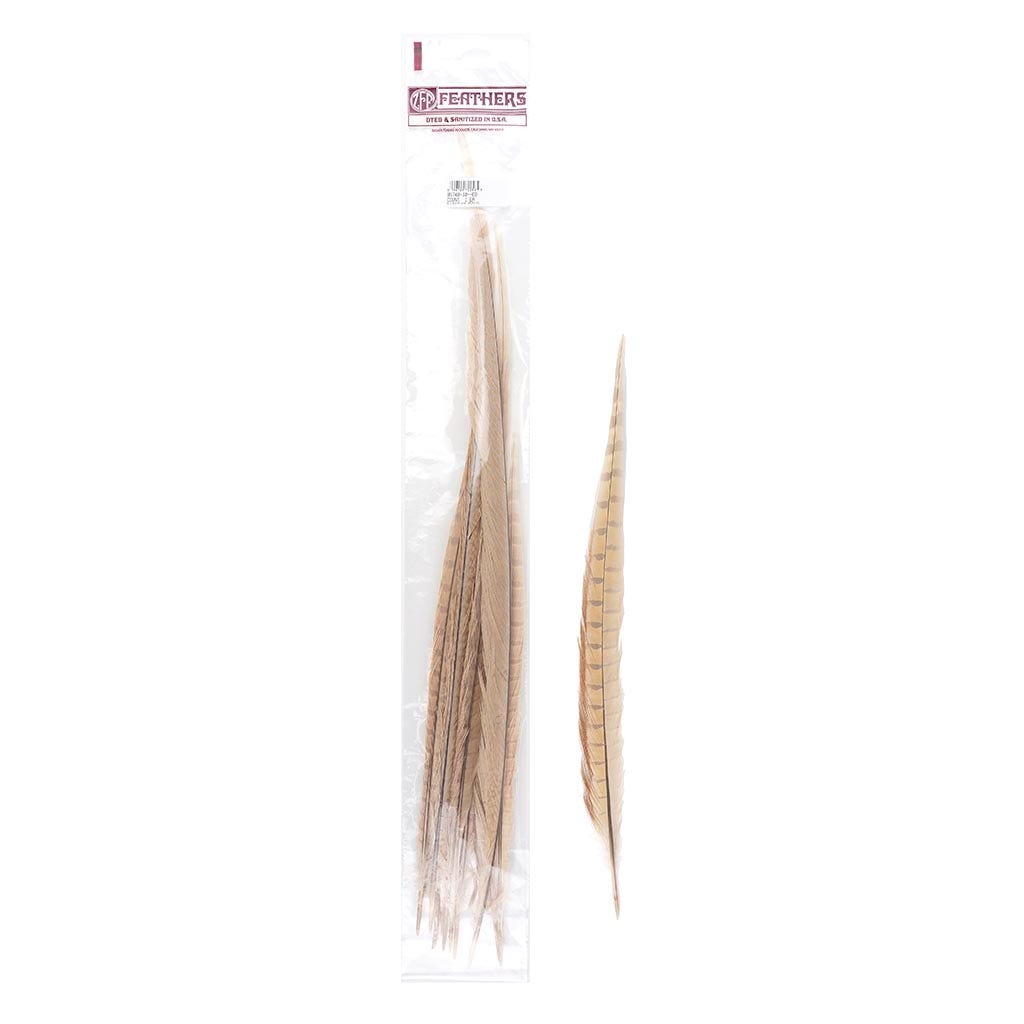 Pheasant Tails Assorted Bleached - Eggshell