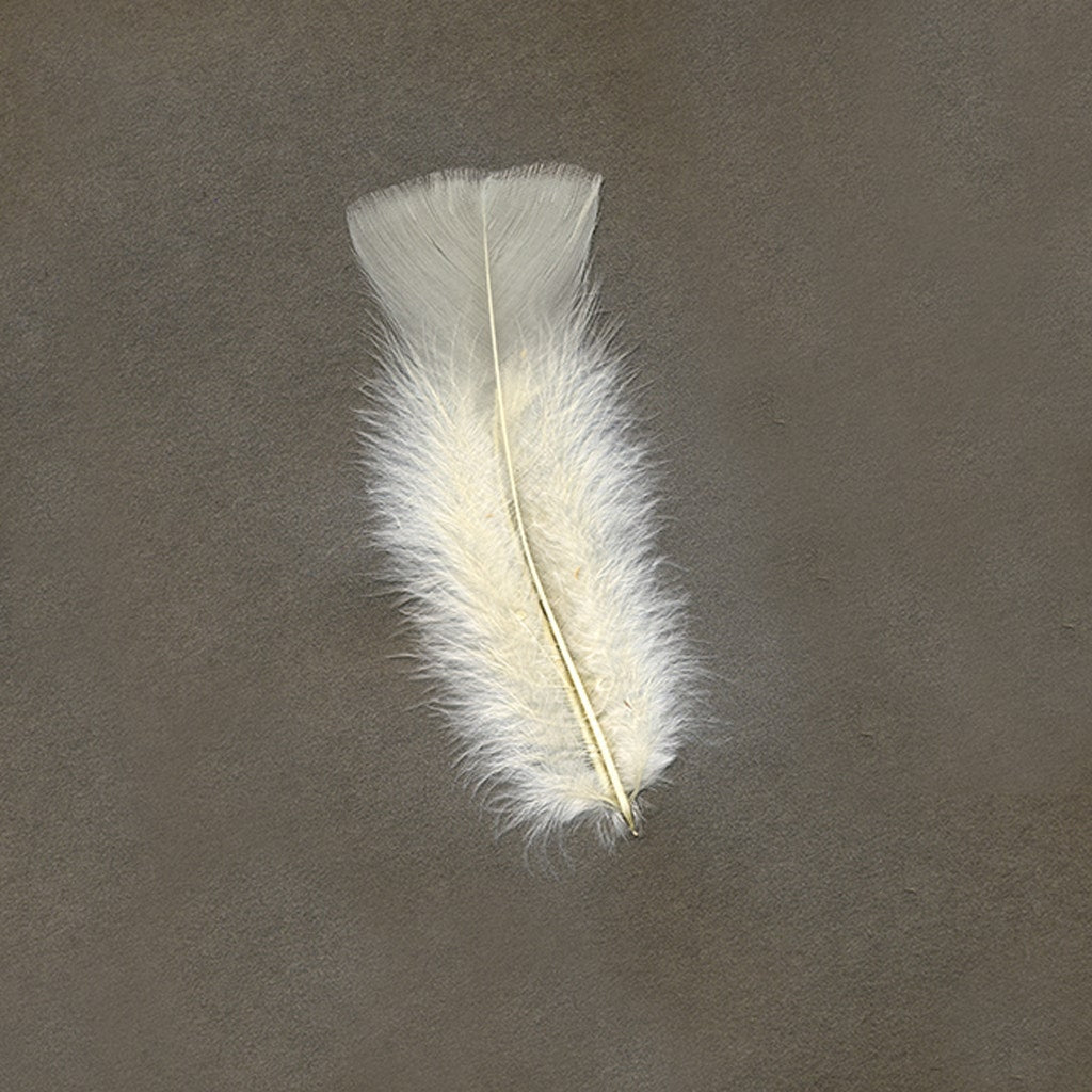 Turkey Feather Flats Dyed - Eggshell