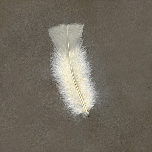 LOOSE TURKEY FLATS DYED SOLID - EGGSHELL