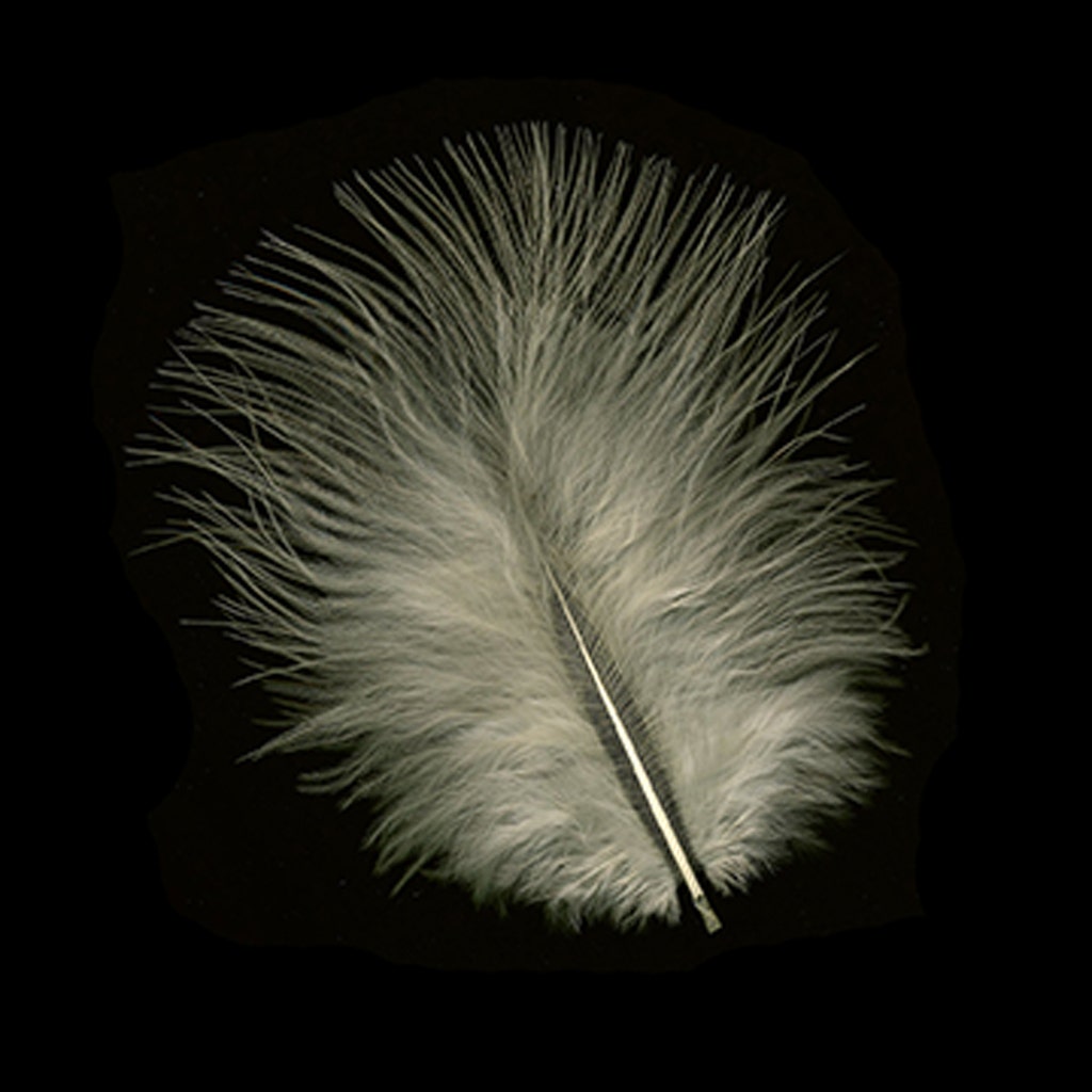 Turkey Marabou Dyed - Eggshell