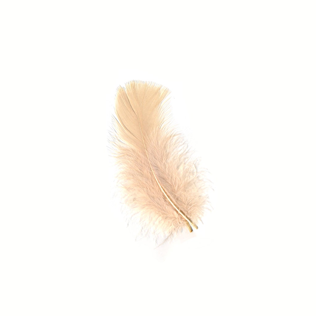 Loose Turkey Plumage Feathers 3-5" - Eggshell