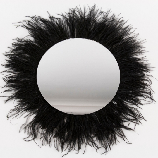 Black Ostrich Feather Wall Art