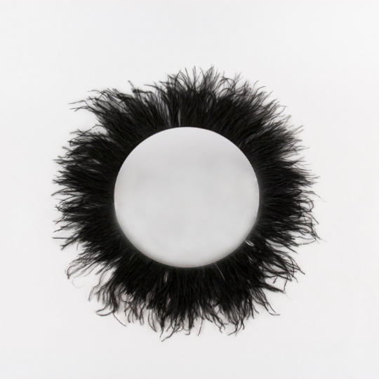 Black Ostrich Feather Wall Art