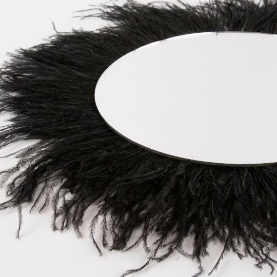 Black Ostrich Feather Wall Art