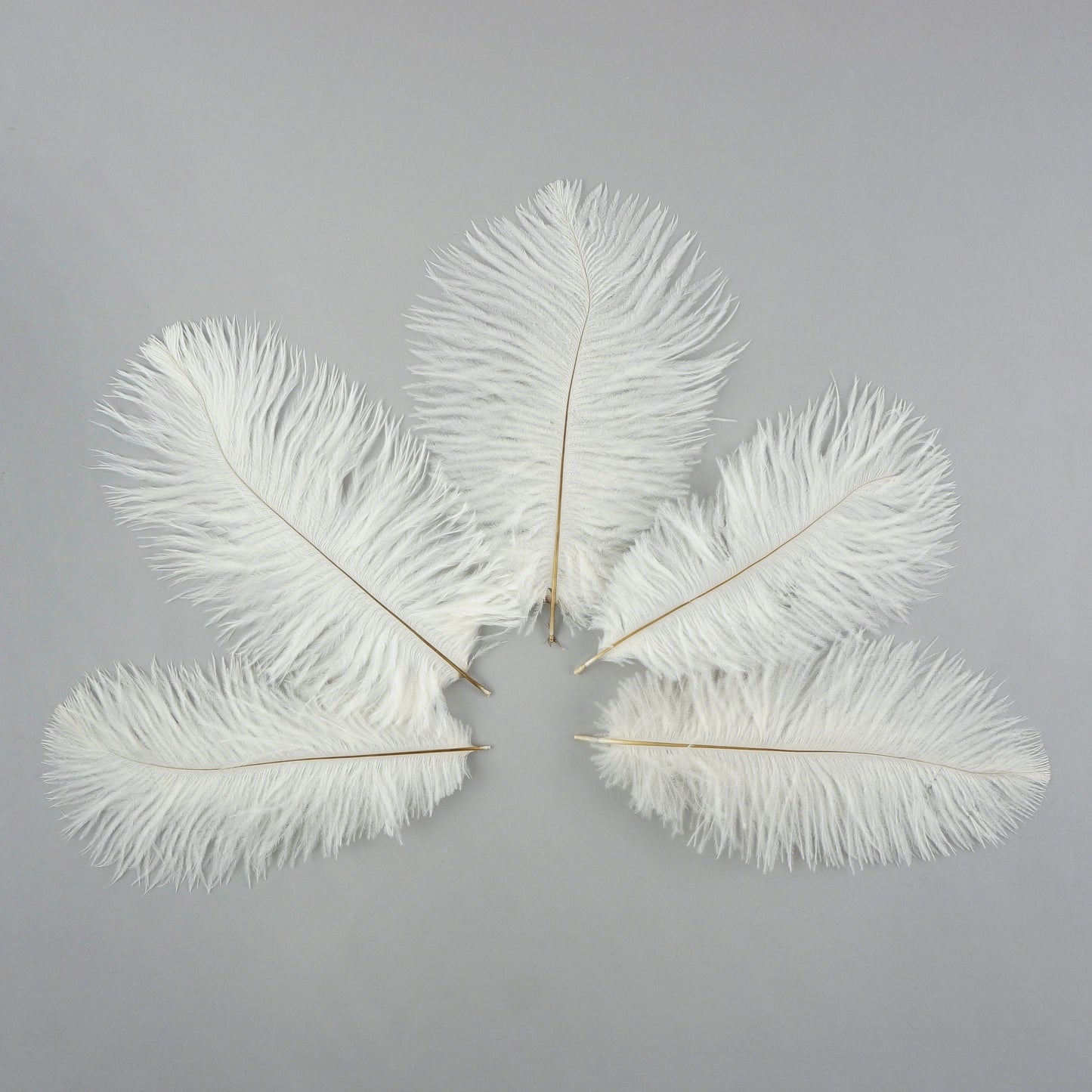 Bulk Feather Ostrich Drabs - 4-8" 1/4 lb White
