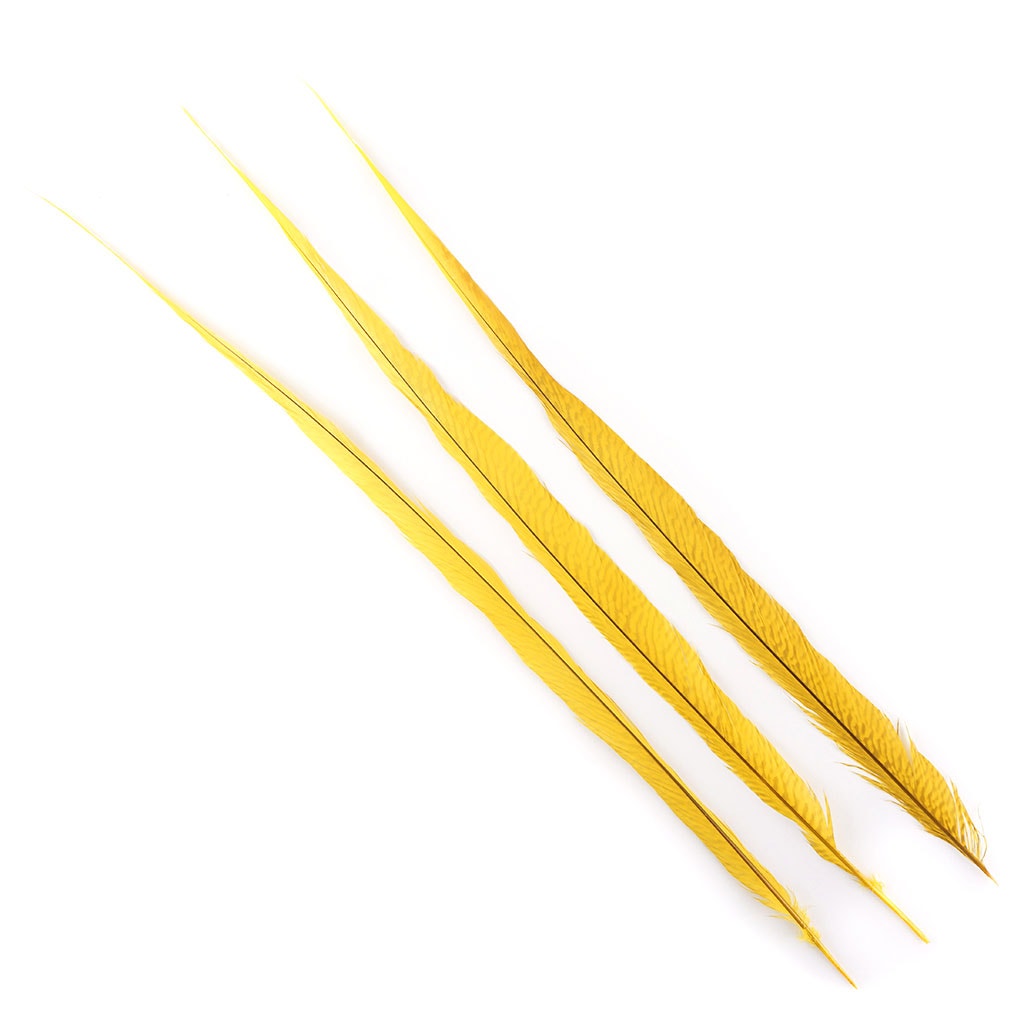 BGP30B Golden Pheasant Tails 25-30" Bleached & Dyed (3 Pieces Per Package) Gold