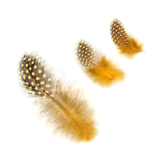 Loose Guinea Plumage Natural - Gold