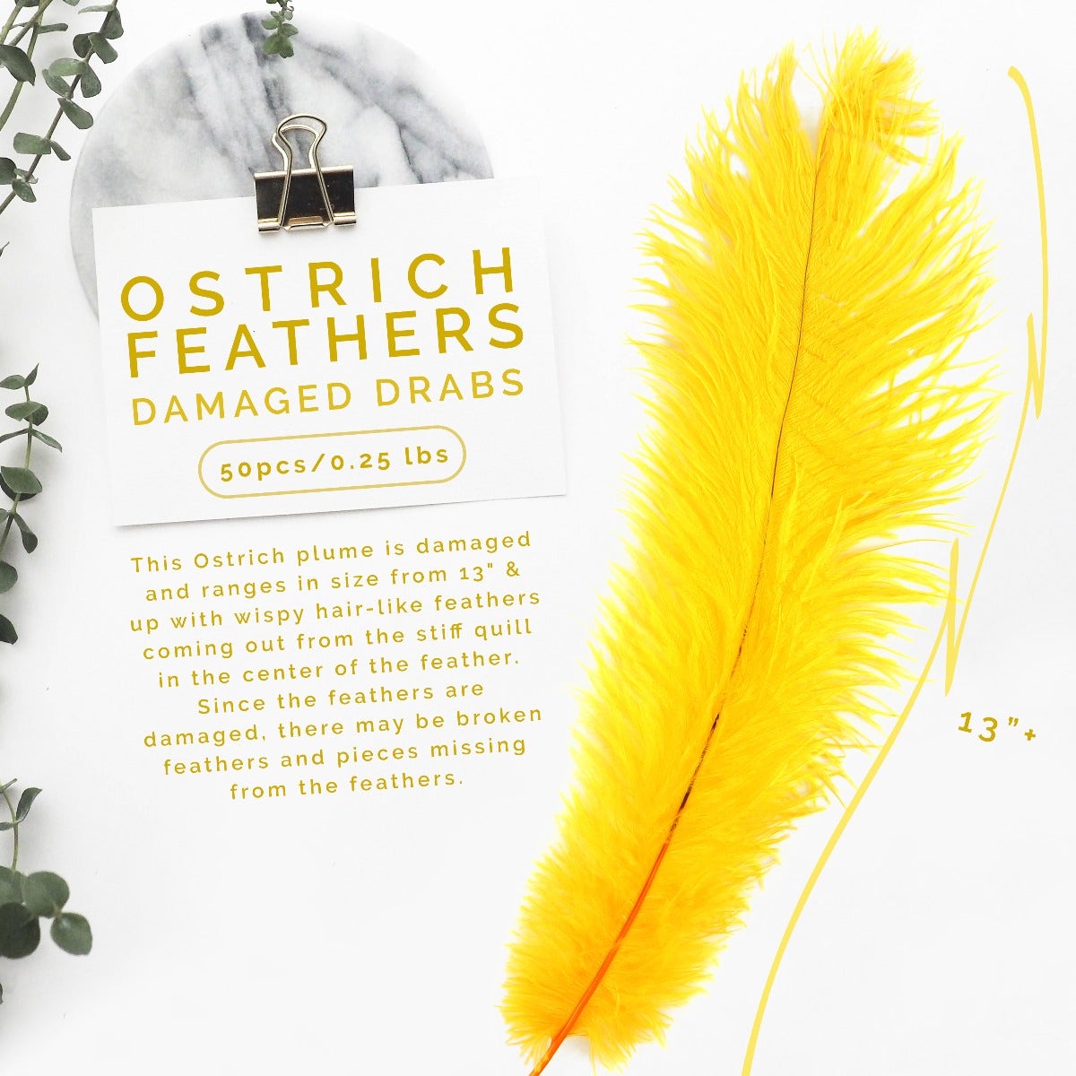 Ostrich Feathers-Damaged Drabs - Gold