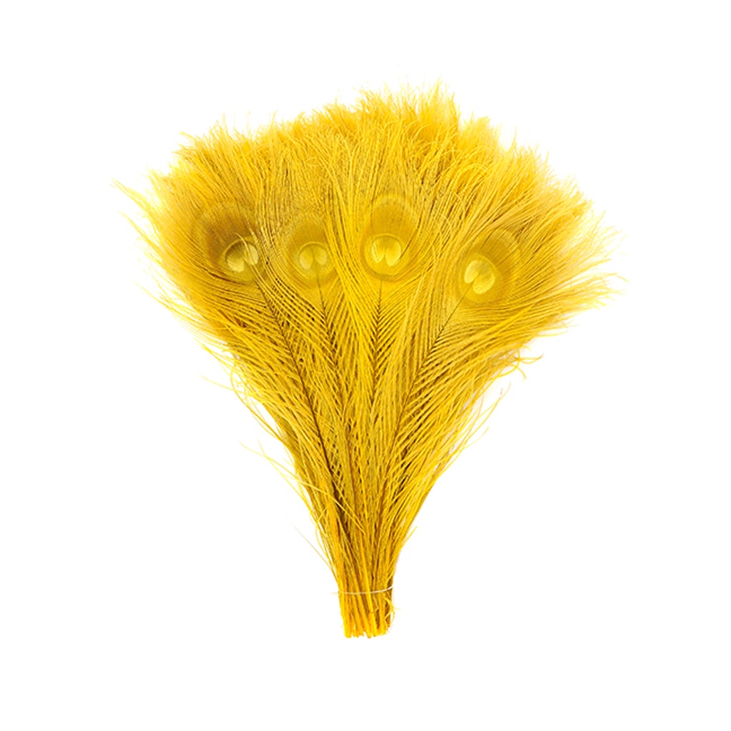 Peacock Tail Eyes Bleached and Dyed - 8-15” - 100 pc - Gold