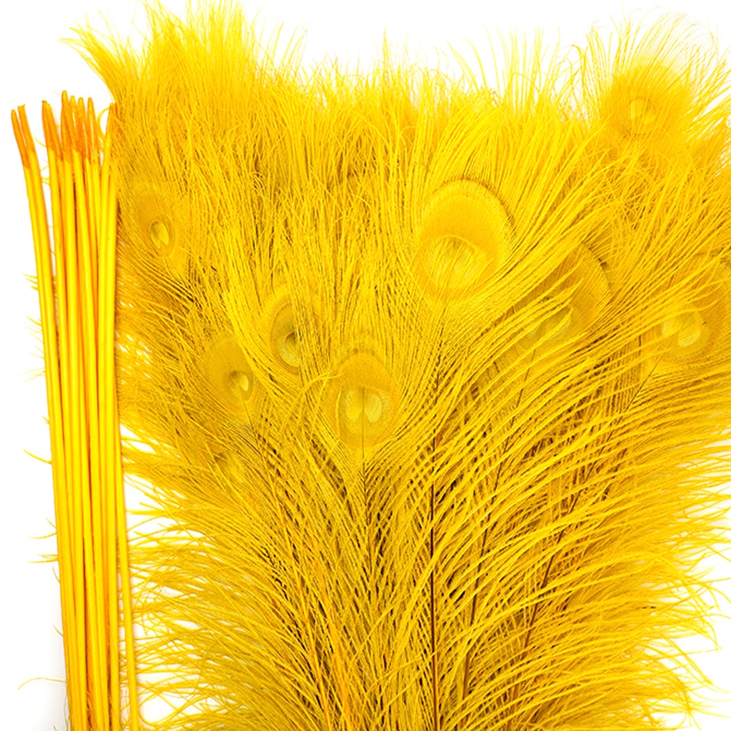 Peacock Tail Eyes Bleached Dyed - Gold