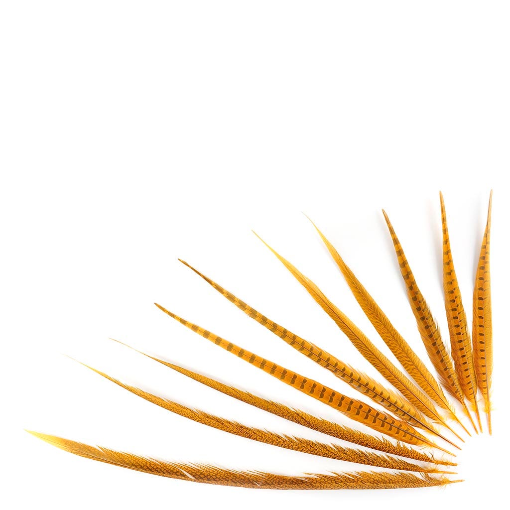 Pheasant Tails Assorted Bleached - Gold