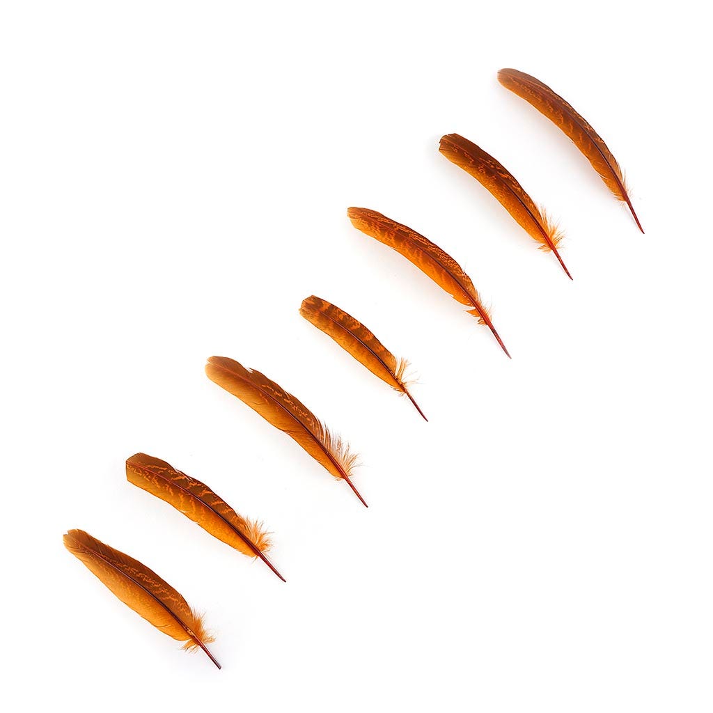 Pheasant Tail Feathers Dyed - Marigold
