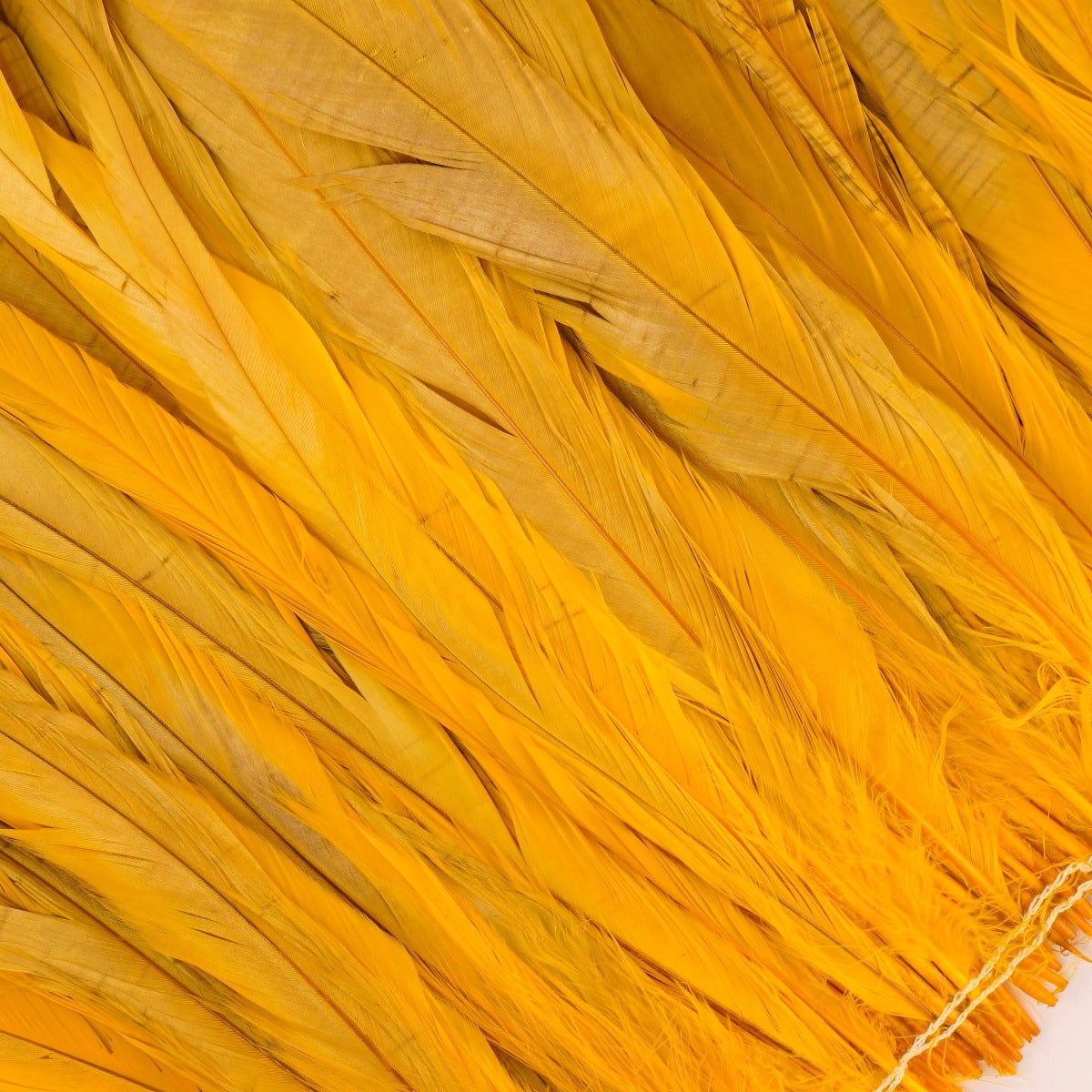 ROOSTER COQUE TAILS FEATHERS BLEACH DYED 7-10” - 1/2 Yard ( 18" ) - Gold