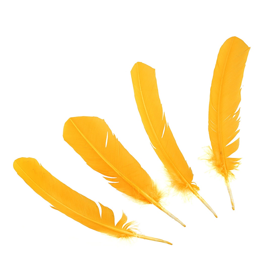 Turkey Quills Dyed Feathers - Gold
