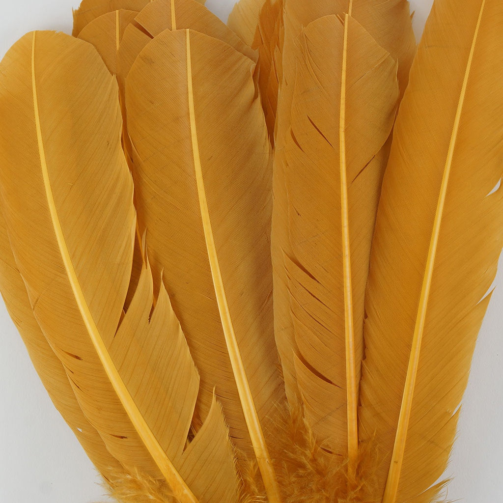 Turkey Quills Selected Antique Gold