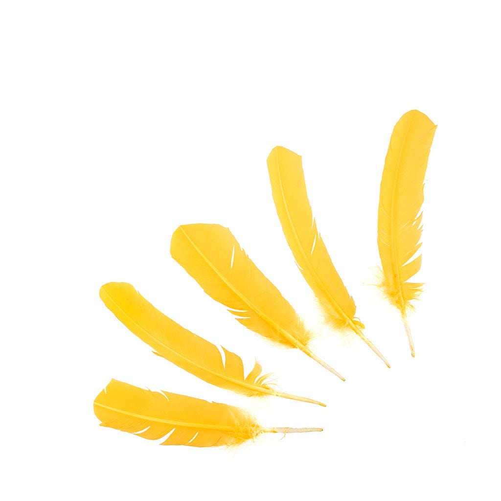 Turkey Quills Selected - Gold