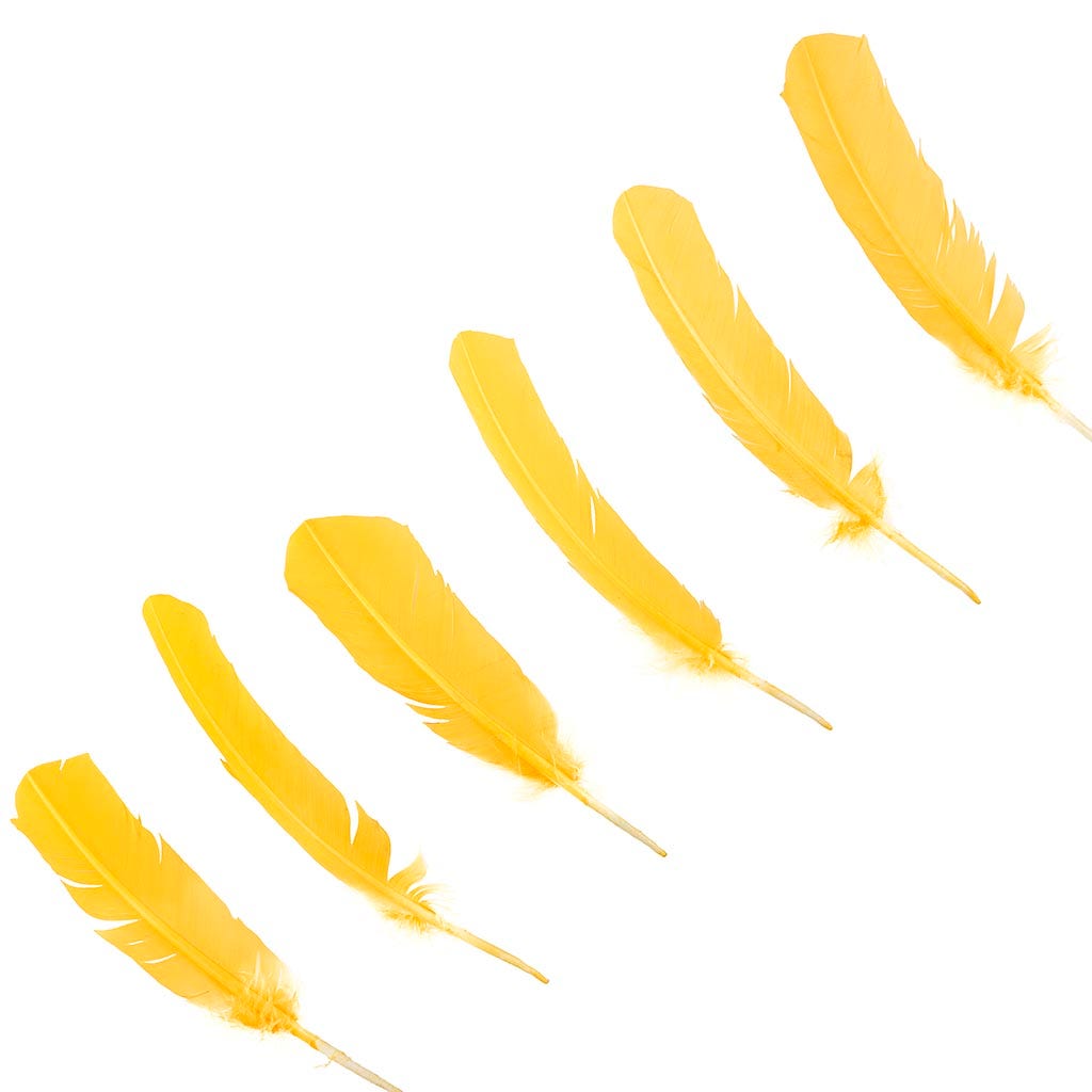 Turkey Quills Selected - Gold