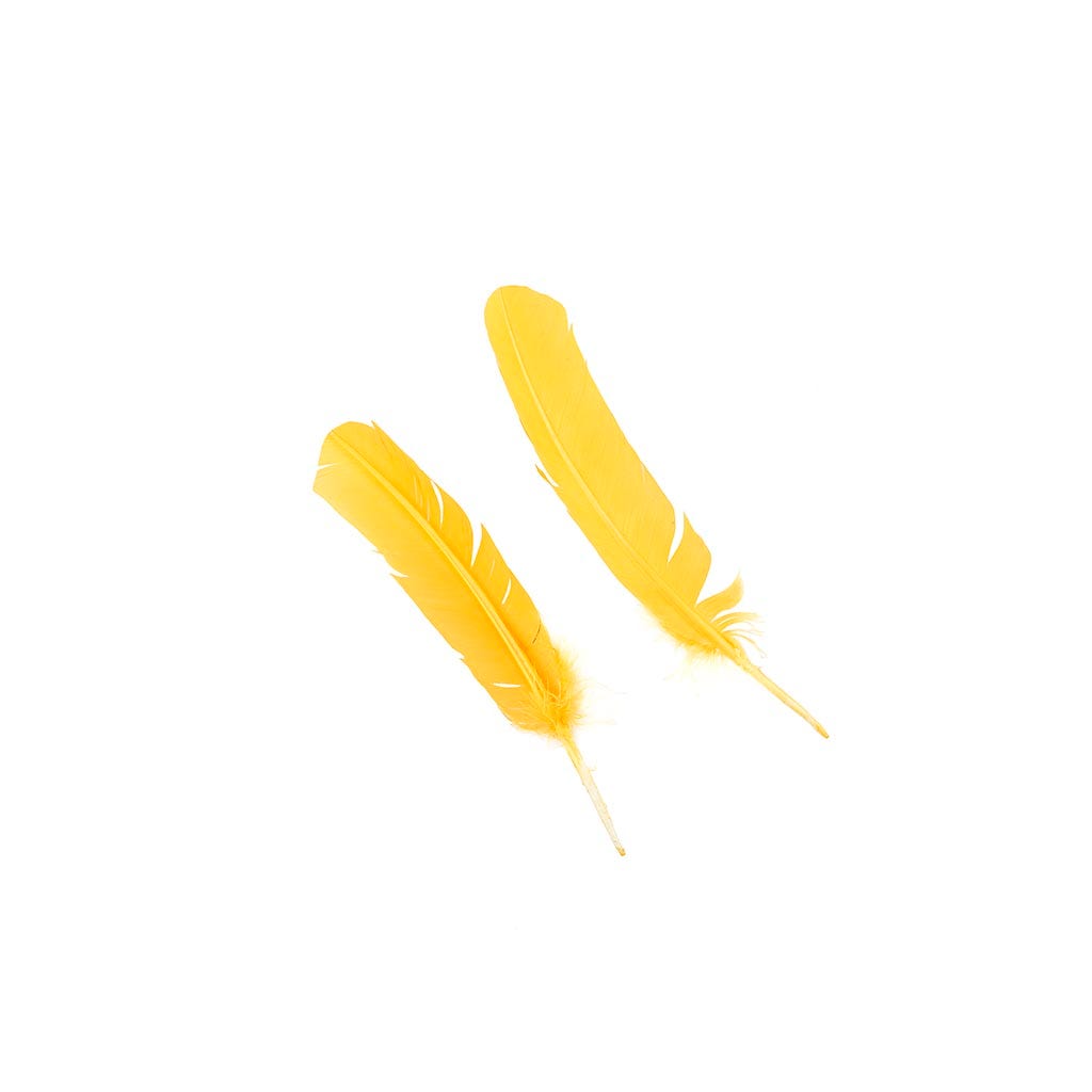 Turkey Quills Selected - Gold